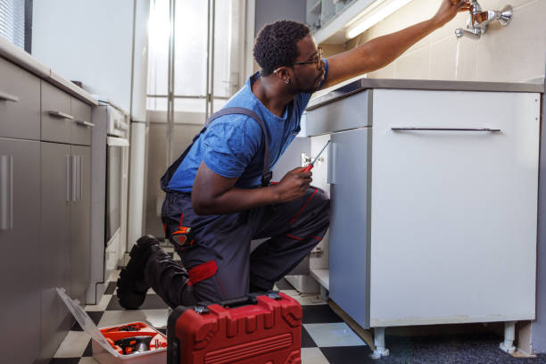 Best Plumbing Services Near Me  in Silverton, OH